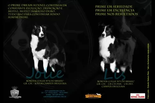 Jolie e Lis - Revista Best in Show que será lançada na expo do KCSP, dia 20/10/2012 página 50 e 51

Jolie and Lis - Best in Show Magazine will be publish at KCSP show, day 10/20/2012 page 50 and 51