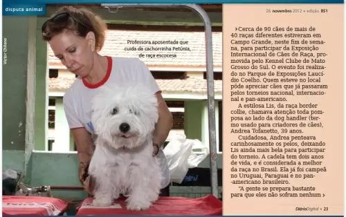 Lis na reportagem sobre a exposição de cães ocorrida em Campo Grande-MS.
