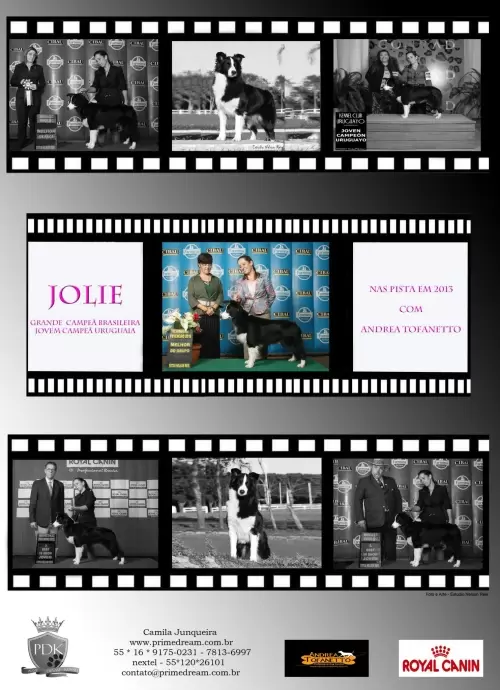 Jolie - Revista Best in Show lançada na expo do KCSP, dia 16/03/2013 página 96

Jolie - Best in Show Magazine published at KCSP show, day 03/16/2013 page 96