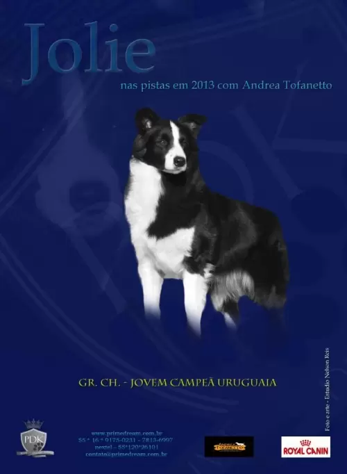 Jolie - Revista Best in Show lançada na expo do CBKC, dia 07/06/2013 página 48

Jolie - Best in Show Magazine published at CBKC Dog Show, day 06/07/2013 page 48
