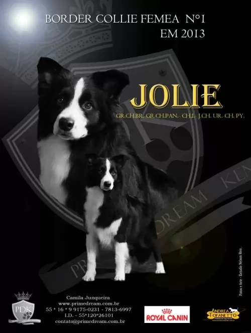 Jolie - Revista Best in Show, Edição 20 página 54

Jolie - Best in Show Magazine, Edition 20th page 54
