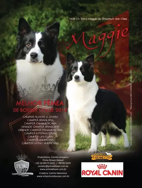 Maggie - Revista Best in Show, edição 29, página 31.

Melhor fêmea da Raça em 2014.

Maggie - Best in Show Magazine, Edition 29th, page 31.

Best Border Collie Female in 2014.
