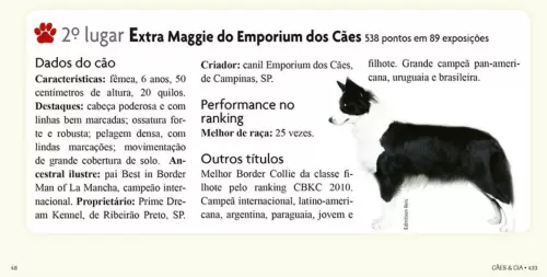 Nossa querida Maggie na revista Cães & Cia, Edição 433, página 48. Muito orgulho dessa garota. Ela é a 2º Melhor Border Collie do Brasil de 2014.

My lovely girl Maggie at Cães & Cia Magazine, Edition 433th page 48. I'm very proud of her. She is the #2 Brazilian Border Collie of 2014.