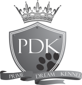 Prime Dream Kennel